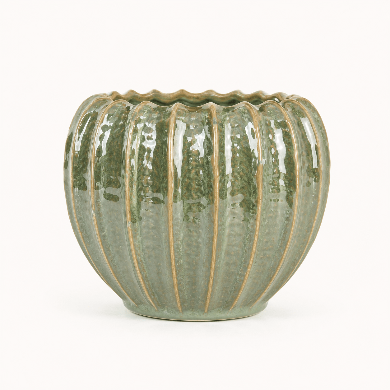 Moss Ribbed Planter – New Vision ceramic planter collection